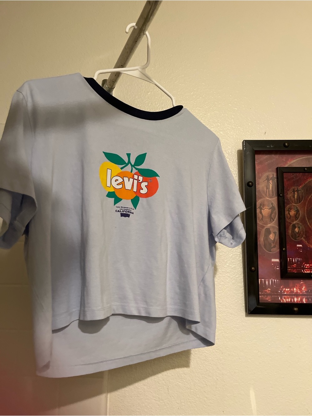 Levi's Light Blue Tee with Colorful Fruit Logo
